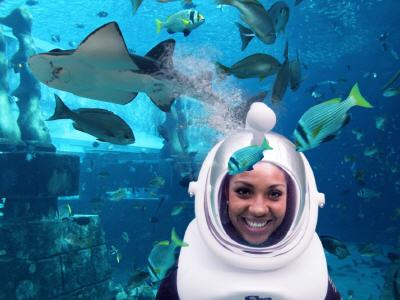 Diving Adventure