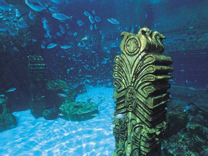 The Lost Chambers Aquarium