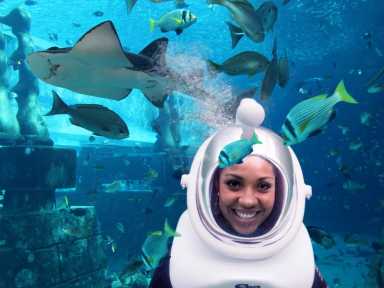 Diving Adventure