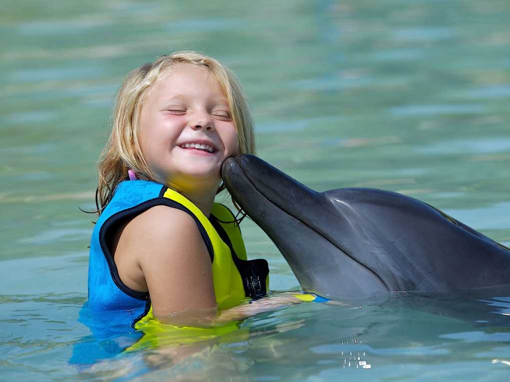 Atlantis Dolphin Encounter