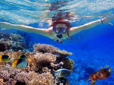 Scuba Diving